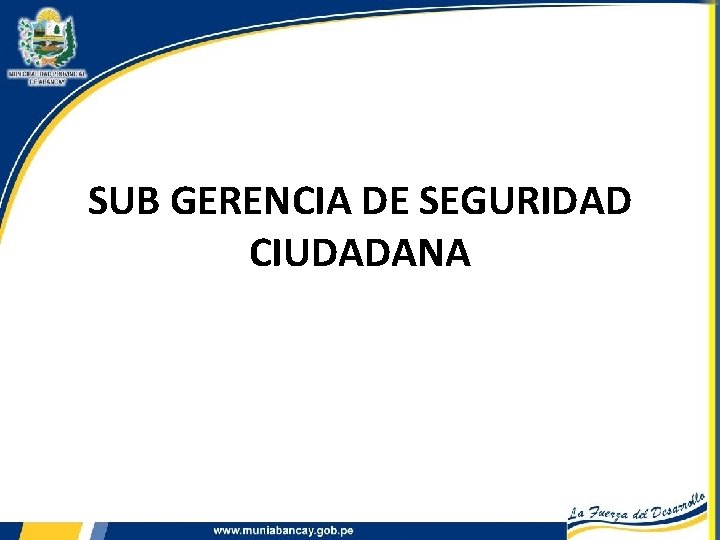 SUB GERENCIA DE SEGURIDAD CIUDADANA 