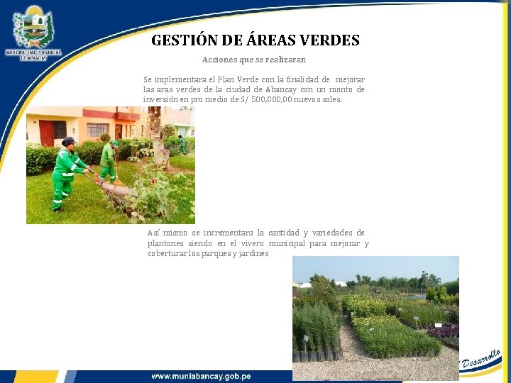 GESTIÓN DE ÁREAS VERDES Acciones que se realizaran Se implementara el Plan Verde con