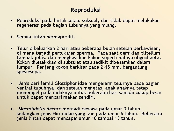 Reproduksi • Reproduksi pada lintah selalu seksual, dan tidak dapat melakukan regenerasi pada bagian