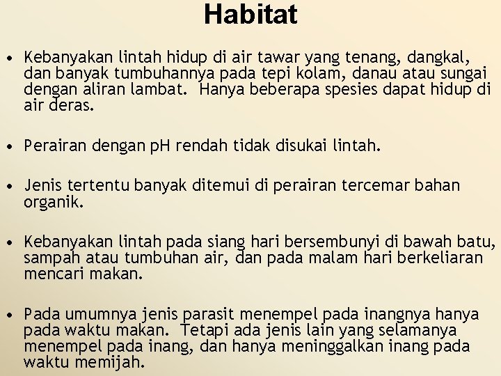 Habitat • Kebanyakan lintah hidup di air tawar yang tenang, dangkal, dan banyak tumbuhannya