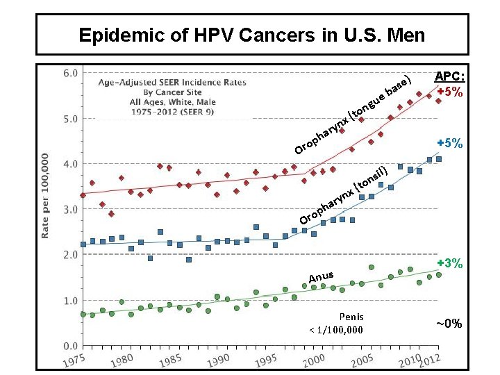 Epidemic of HPV Cancers in U. S. Men ) ase e b u g
