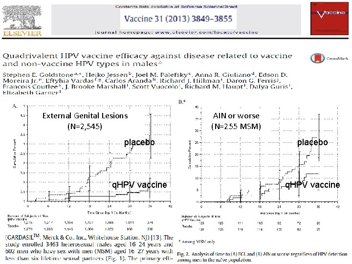 External Genital Lesions (N=2, 545) AIN or worse (N=255 MSM) placebo q. HPV vaccine
