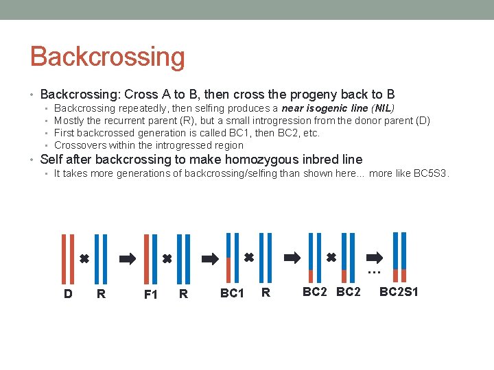 Backcrossing • Backcrossing: Cross A to B, then cross the progeny back to B