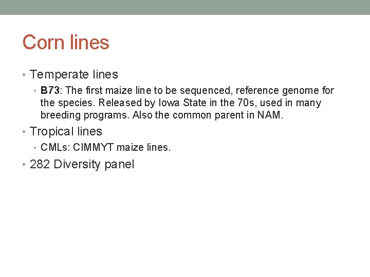 Corn lines • Temperate lines • B 73: The first maize line to be