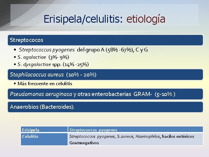 Erisipela/celulitis: etiología Streptococos • Streptococcus pyogenes del grupo A (58% -67%), C y G