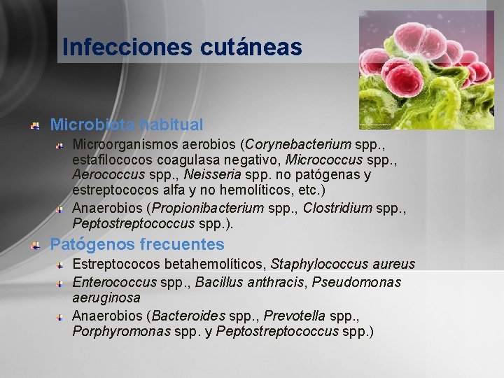 Infecciones cutáneas Microbiota habitual Microorganismos aerobios (Corynebacterium spp. , estafilococos coagulasa negativo, Micrococcus spp.