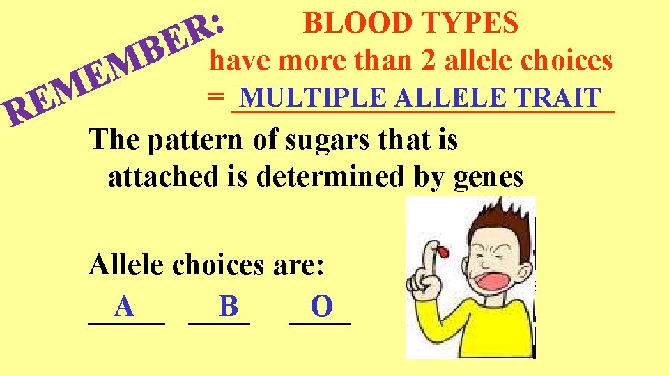 : R BLOOD TYPES E B have more than 2 allele choices M E