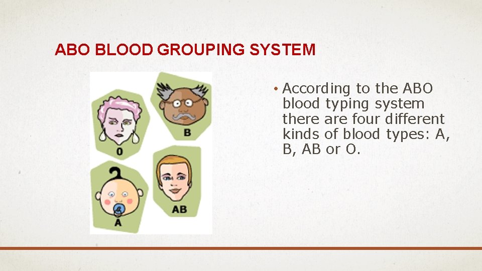 ABO BLOOD GROUPING SYSTEM • According to the ABO blood typing system there are