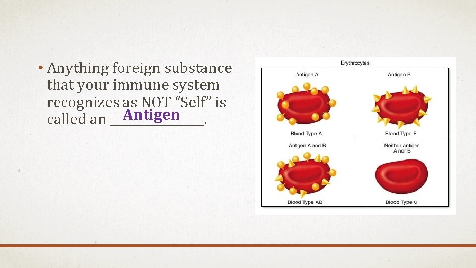  • Anything foreign substance that your immune system recognizes as NOT “Self” is