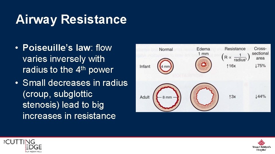 Airway Resistance • Poiseuille’s law: flow varies inversely with radius to the 4 th