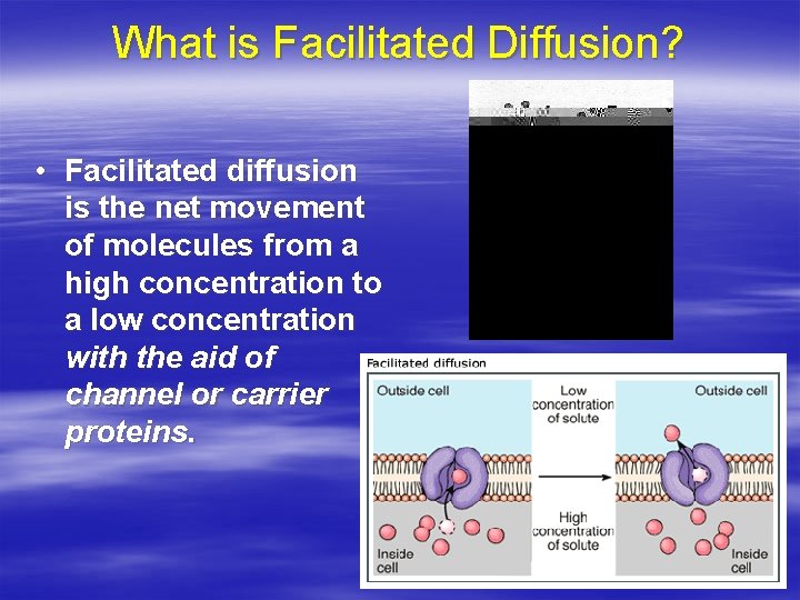What is Facilitated Diffusion? • Facilitated diffusion is the net movement of molecules from