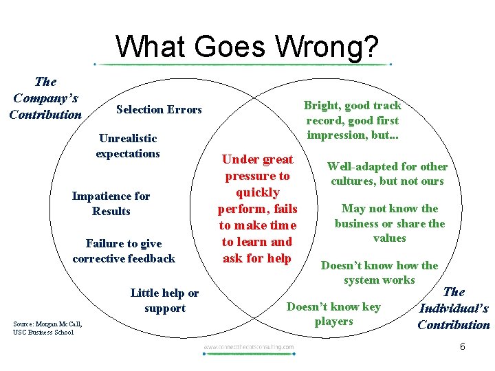 What Goes Wrong? The Company’s Contribution Unrealistic expectations Impatience for Results Failure to give
