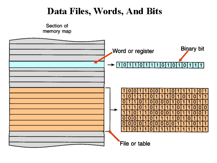 Data Files, Words, And Bits 