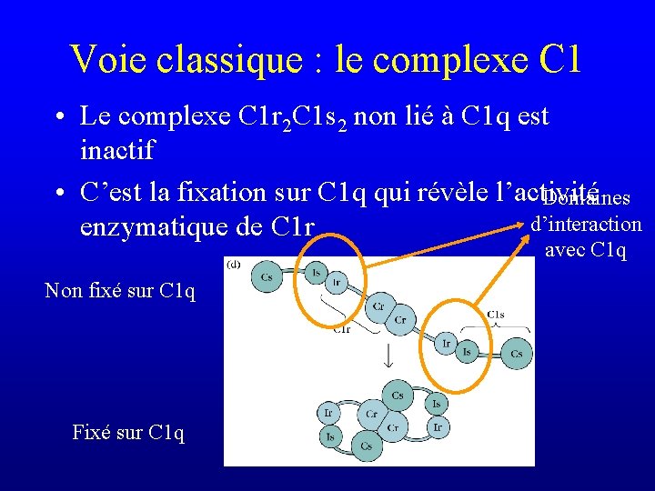 Voie classique : le complexe C 1 • Le complexe C 1 r 2