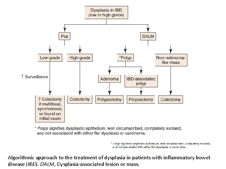 Algorithmic approach to the treatment of dysplasia in patients with inflammatory bowel disease (IBD).