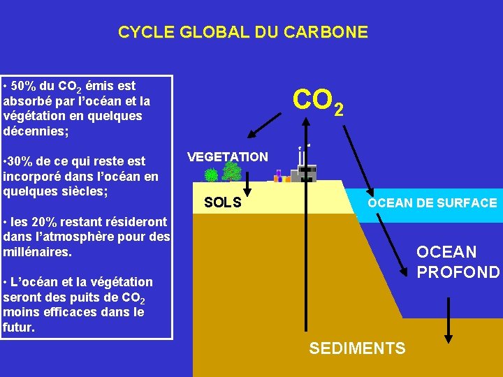 CYCLE GLOBAL DU CARBONE • 50% du CO 2 émis est absorbé par l’océan