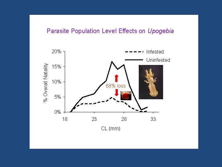 Parasite Population Level Effects on Upogebia 20% Infested % Overall Natality Uninfested 15% 10%