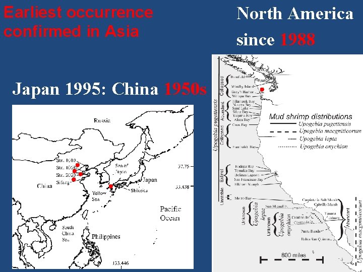 Earliest occurrence confirmed in Asia Japan 1995: China 1950 s North America since 1988