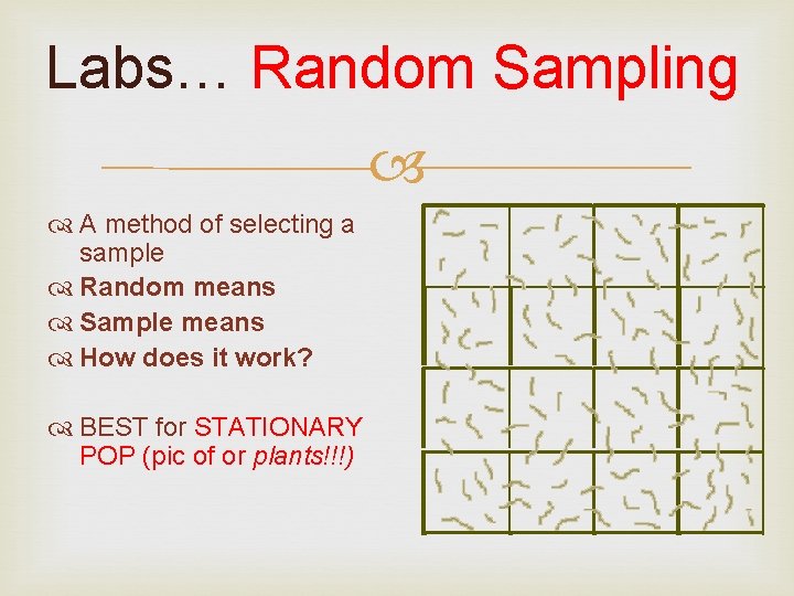 Labs… Random Sampling A method of selecting a sample Random means Sample means How