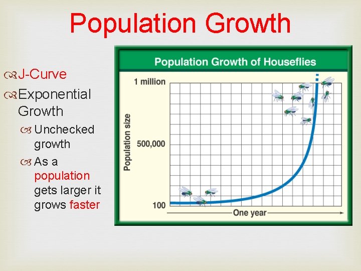 Population Growth J-Curve Exponential Growth Unchecked growth As a population gets larger it grows