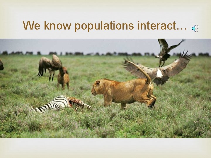 We know populations interact… 