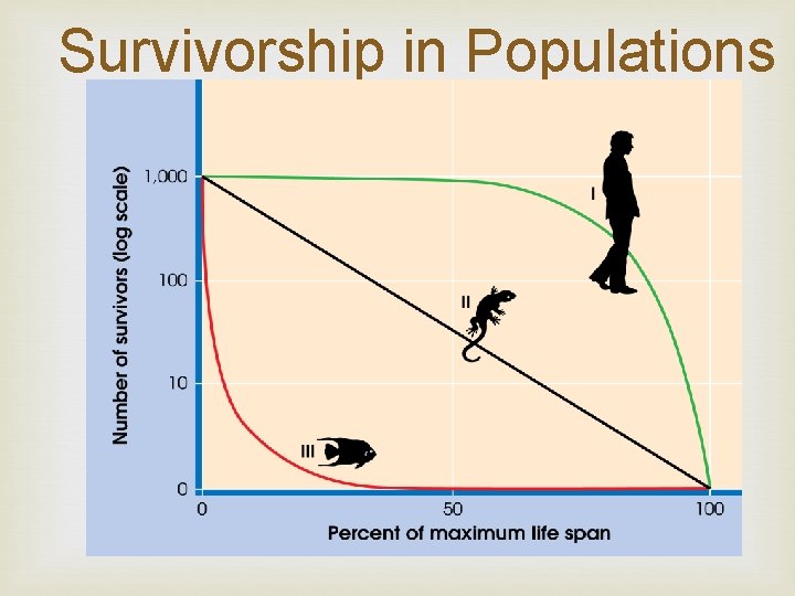 Survivorship in Populations 