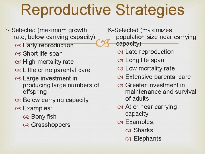 Reproductive Strategies r- Selected (maximum growth rate, below carrying capacity) Early reproduction Short life