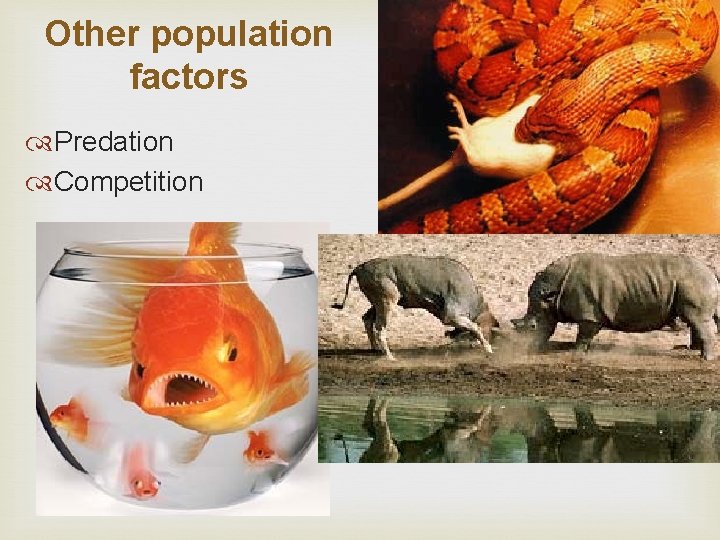 Other population factors Predation Competition 