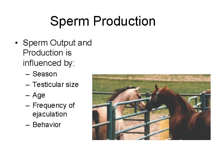 Sperm Production • Sperm Output and Production is influenced by: – – Season Testicular