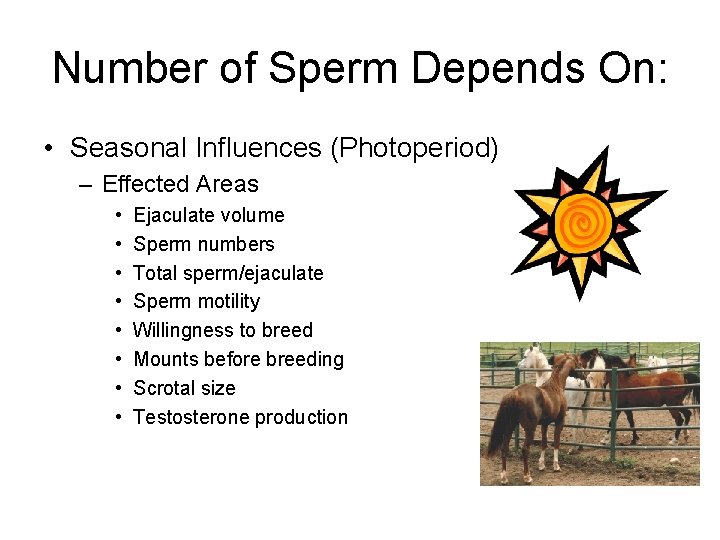 Number of Sperm Depends On: • Seasonal Influences (Photoperiod) – Effected Areas • •