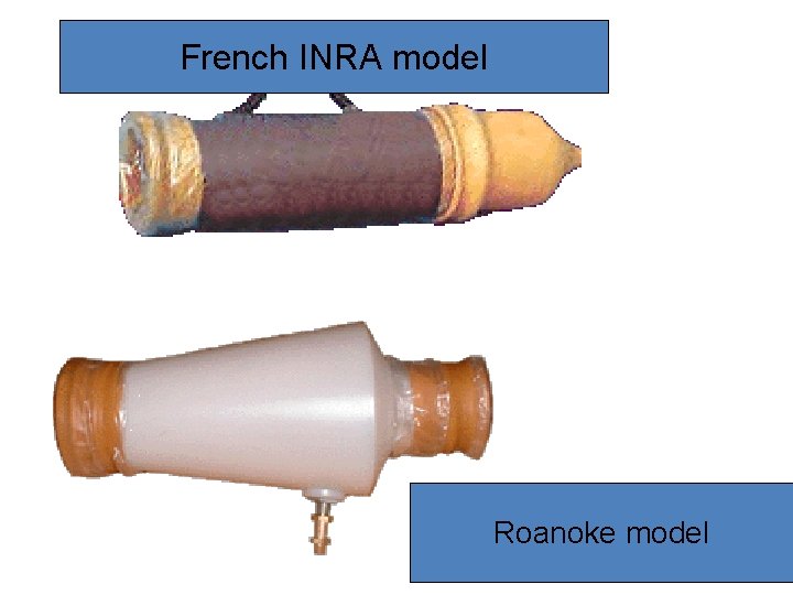 French INRA model Roanoke model French INRA model Roanoke model