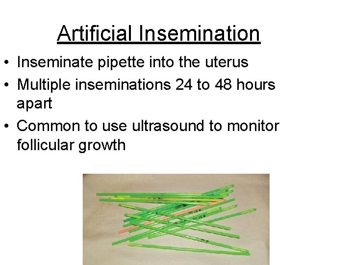 Artificial Insemination • Inseminate pipette into the uterus • Multiple inseminations 24 to 48 Artificial Insemination • Inseminate pipette into the uterus • Multiple inseminations 24 to 48