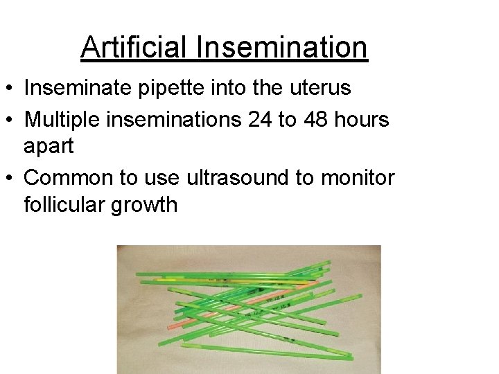 Artificial Insemination • Inseminate pipette into the uterus • Multiple inseminations 24 to 48