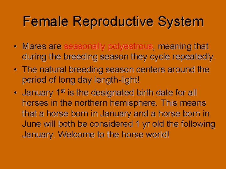 Female Reproductive System • Mares are seasonally polyestrous, meaning that during the breeding season