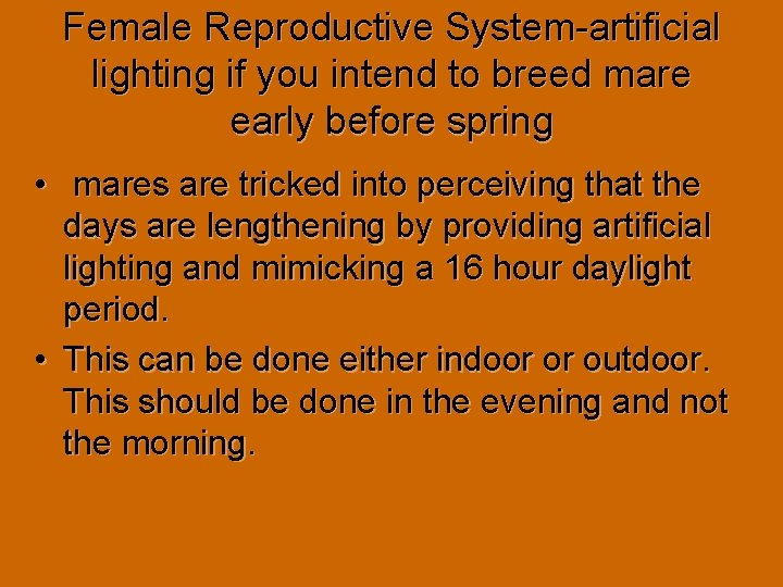 Female Reproductive System-artificial lighting if you intend to breed mare early before spring • Female Reproductive System-artificial lighting if you intend to breed mare early before spring •