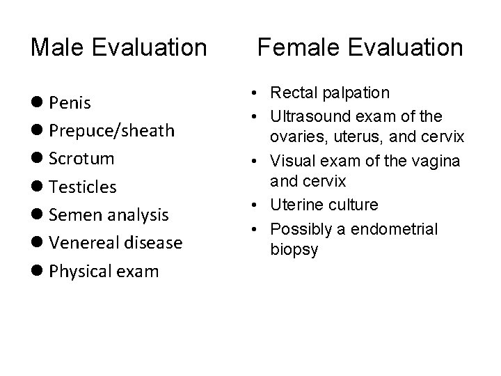 Male Evaluation l Penis l Prepuce/sheath l Scrotum l Testicles l Semen analysis l