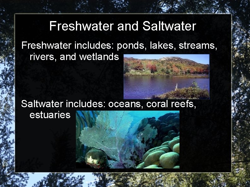 Freshwater and Saltwater Freshwater includes: ponds, lakes, streams, rivers, and wetlands Saltwater includes: oceans,