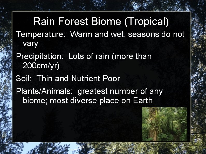 Rain Forest Biome (Tropical) Temperature: Warm and wet; seasons do not vary Precipitation: Lots