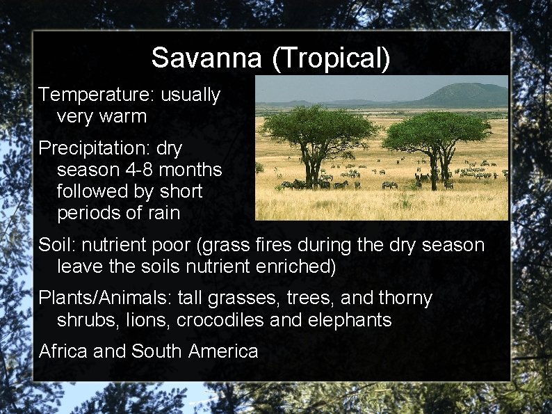 Savanna (Tropical) Temperature: usually very warm Precipitation: dry season 4 -8 months followed by