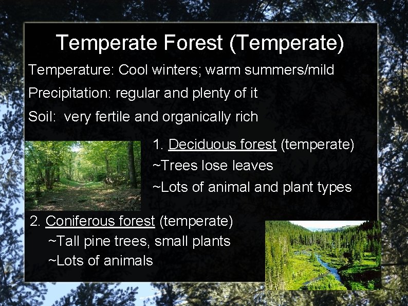 Temperate Forest (Temperate) Temperature: Cool winters; warm summers/mild Precipitation: regular and plenty of it
