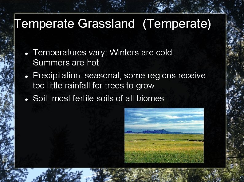 Temperate Grassland (Temperate) Temperatures vary: Winters are cold; Summers are hot Precipitation: seasonal; some