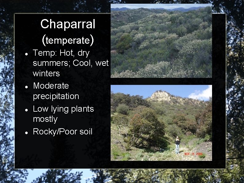 Chaparral (temperate) Temp: Hot, dry summers; Cool, wet winters Moderate precipitation Low lying plants