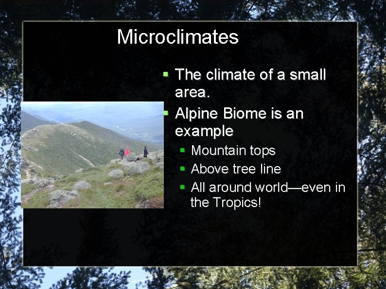 Microclimates The climate of a small area. Alpine Biome is an example Mountain tops