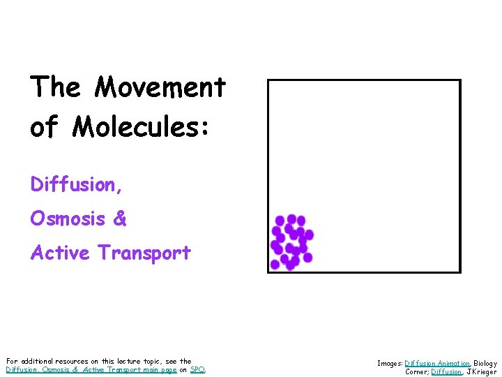 The Movement of Molecules: Diffusion, Osmosis & Active Transport For additional resources on this