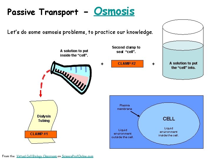 Passive Transport - Osmosis Let’s do some osmosis problems, to practice our knowledge. Second