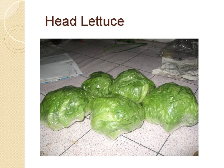 Head Lettuce 