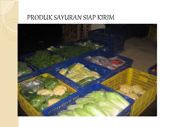 PRODUK SAYURAN SIAP KIRIM 