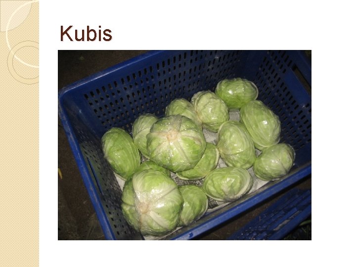 Kubis 