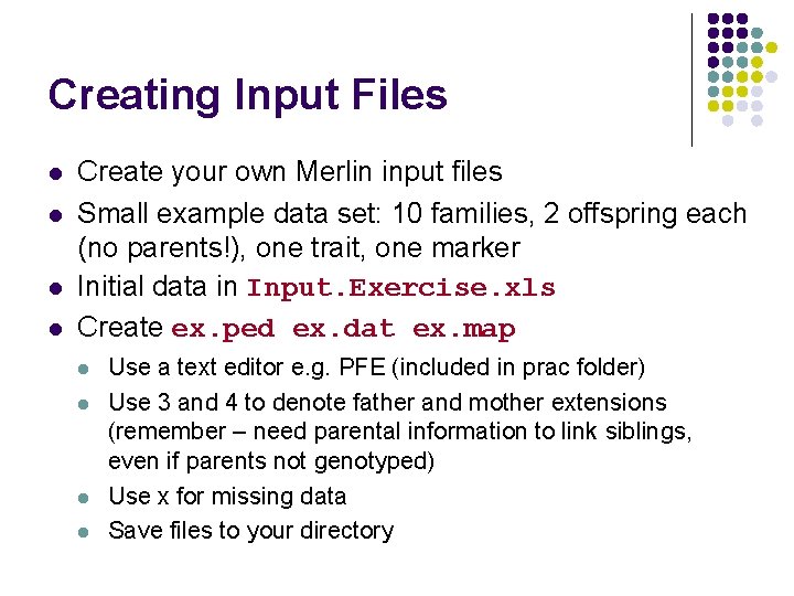 Creating Input Files l l Create your own Merlin input files Small example data