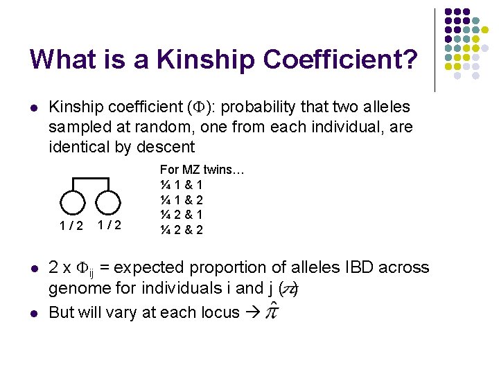 What is a Kinship Coefficient? l Kinship coefficient ( ): probability that two alleles